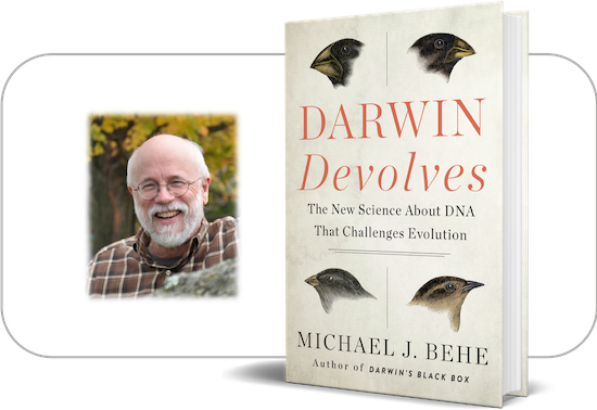 Michael Behe's "DARWN Devolves"